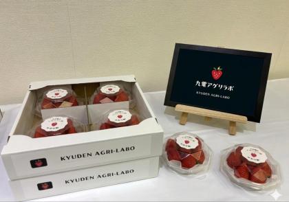 20260415_172845_82897